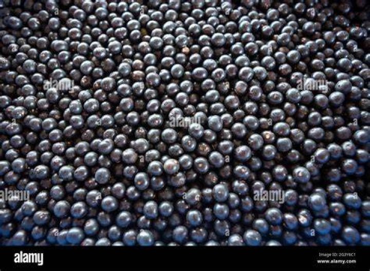 Acai