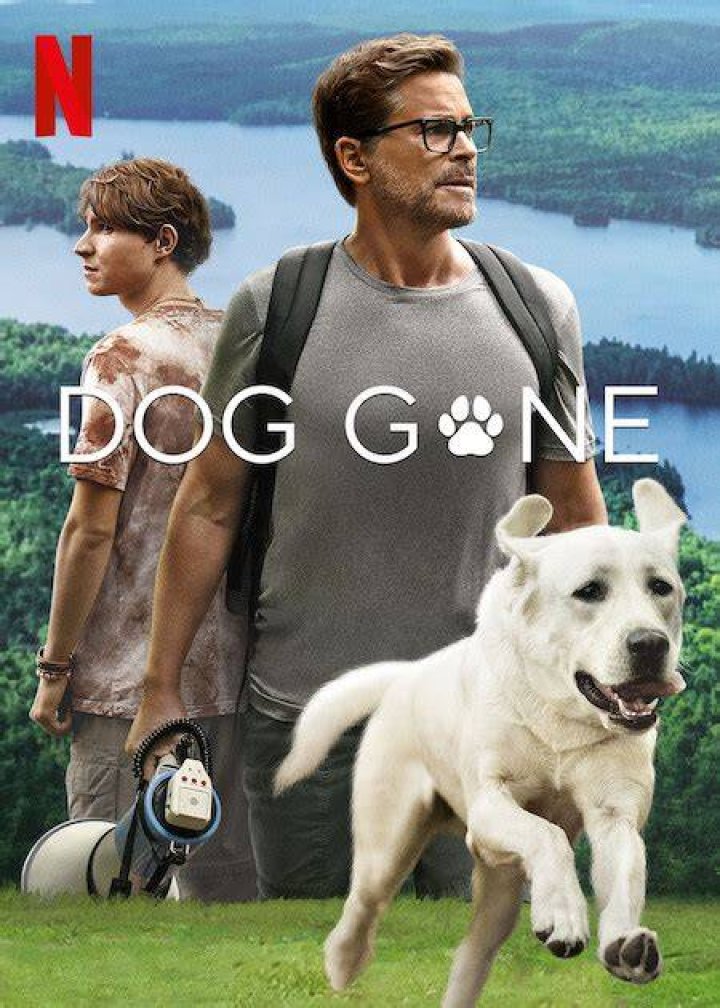 dog gone