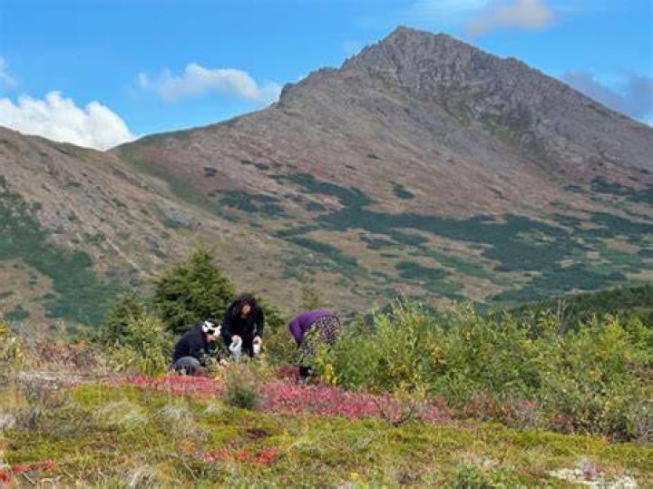 Glen Alps