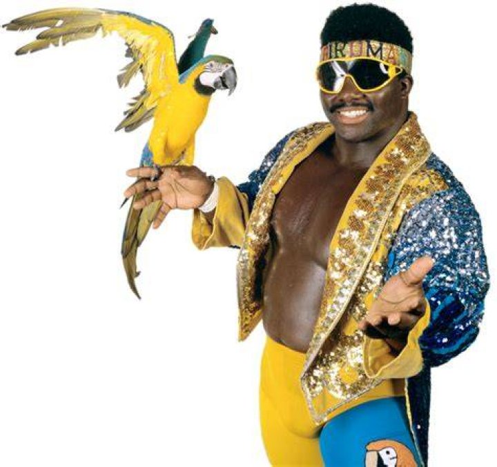 Koko B. Ware