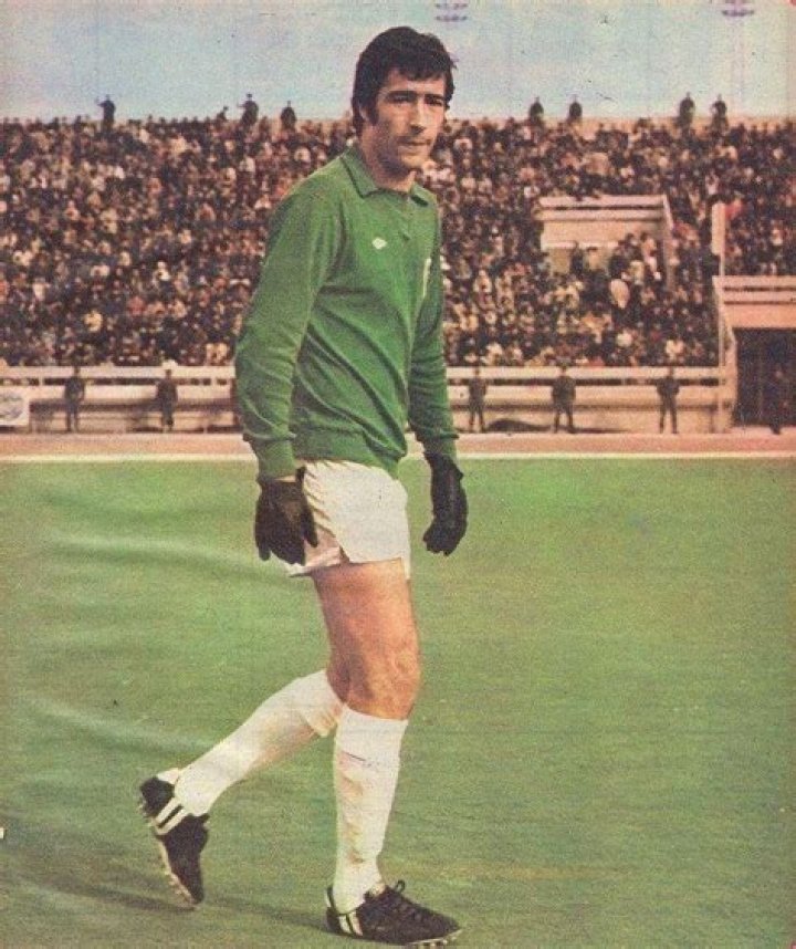 Nasser Hejazi
