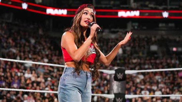 , Nikki Bella's Husband