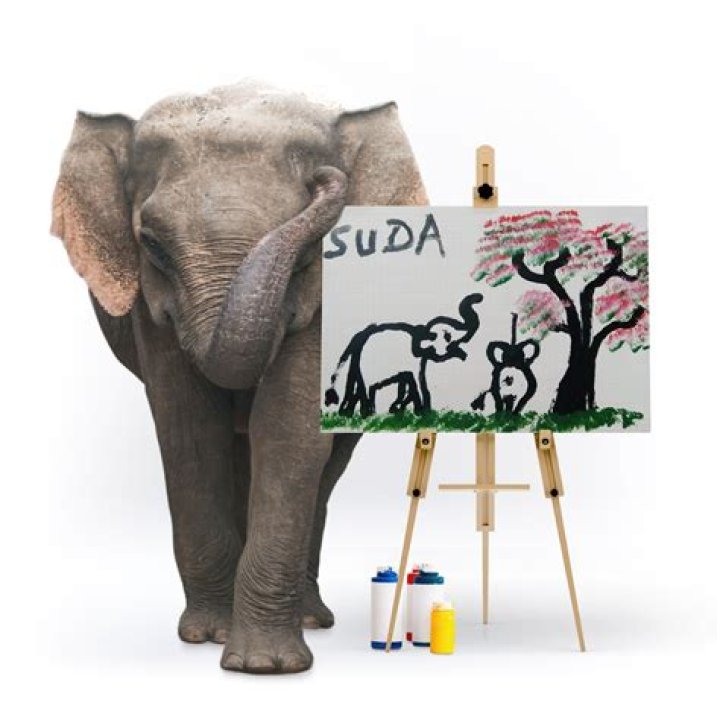Suda