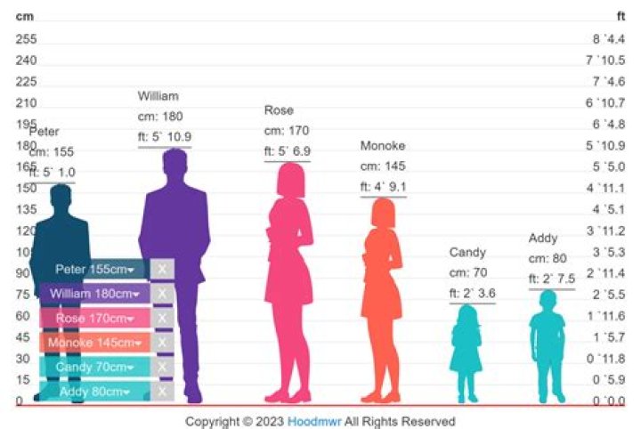 Tussygames height