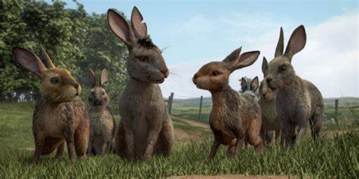 Watership Down: A BBC One & Netflix Partnership 1